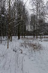 Park Śląski pokryty śniegiem. © Miroslaw