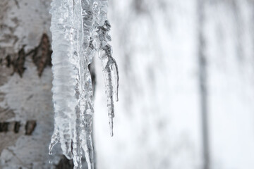 Icicle. Dangerous in winter. Icicle on the drain. Space for text.