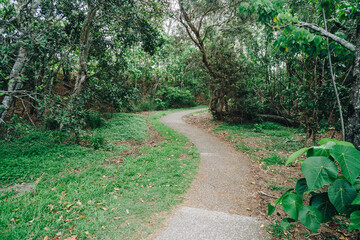 footpath in the Tarrabora Reserve at Currumbin creek Palm Beach