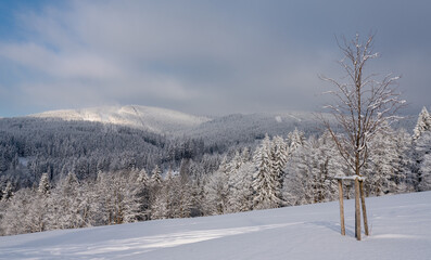 Obraz premium Winter landscape of 