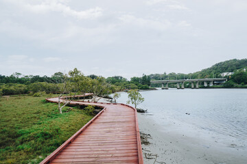 Portrait shot of Path at Beree-badalla Reserve in Palm Beach mangroves towards Currumbin bridge