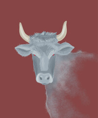Grey bull with horns on the dark red background