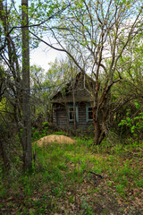 abandoned wooden houses Chernobyl zone