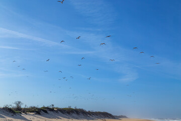 Beautiful beach in Figueira da Foz