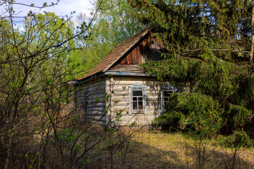 Fototapeta na wymiar abandoned wooden houses Chernobyl zone