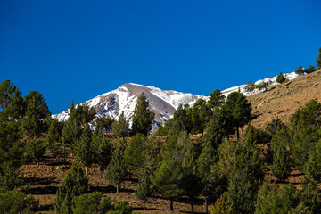 Snow-capped Atlas mountains in Ifrane, Morocco, North Africa