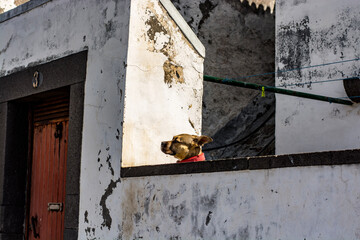 old abandoned building