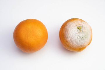 one fresh and one rotten orange lie on the table