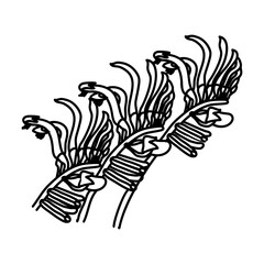 Kangaroo Floral Hand Drawn. Vector Design Illustration Sign.