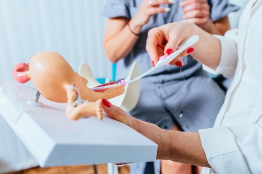 Infertility treatment, assisted reproductive technologies, intrauterine insemination concept. Gynecologist's consultation. Female doctor gynecologist explains the situation to patient in clinic.