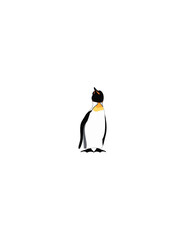 illustration of penguin