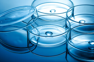 Clean glass petri dish with liquid drop inside over blue light background