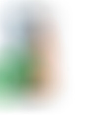 Honland Papaya Ripe yellow rotten on the tree due to birds and squirrels Pecked or gnawed for food and stuck on the tree with green leaves slightly obscuring the papaya Blurred with green and white li