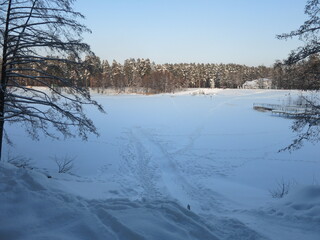 Winter park, snow, pine trees.