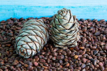 Pine nuts. Pine nuts and cones on a wooden table. Seeds of Siberian pine in the shell