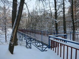Winter park, snow, pine trees.