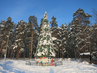 Winter park, snow, pine trees.