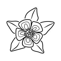 Columbine Flower Floral Hand Drawn. Vector Design Illustration Sign.