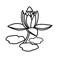 Lily Flower Floral Hand Drawn. Vector Design Illustration Sign.