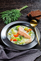 salmon fish soup with cream and veggies, top view