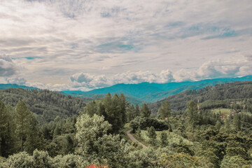 Fototapeta premium The great nature with trees and cloud with high view background