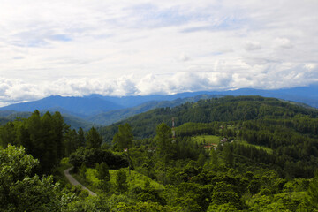 Fototapeta premium The great nature with trees and cloud with high view background