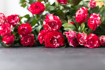 Obraz premium Reds with white roses on a gray concrete background