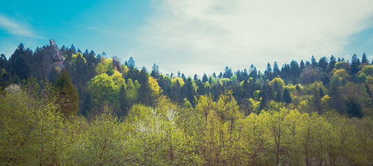 Landscape in the park Skole Beskydy on ancient rocks