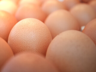 Abstract blurred photo of, Eggs in package with copy space.
