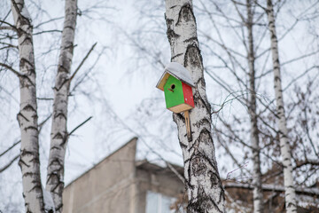 Birdhouse on a tree in a city courtyard. Walk around the city in spring.