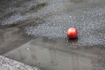 Fallen red apple on wet asphalt