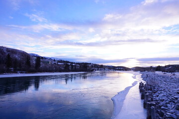 ホワイトホース