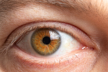 Macro photo of the male eye is brown. Healthy human cornea close up