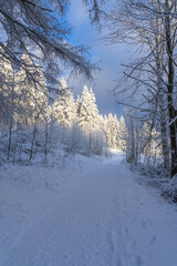 Winterliche Landschaft