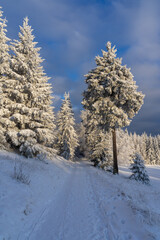 Obraz premium Winterliche Landschaft