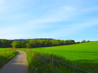 Promenade to the forest and farmland