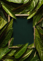 Abstract composition with green leaves and golden frame on green background. Creative nature layout. Summer concept. Flat lay. Copy space.Floral design background.