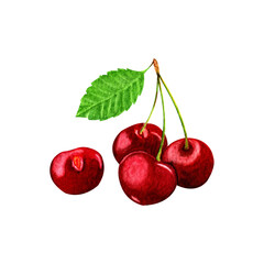 Beautiful watercolor illustration of red ripe cherries with green leaf,on white background.For embroidery patterns,greeting cards,stickers,patterns,print on textiles and other souvenir products.