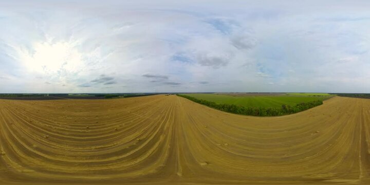 Aerial view of Rolls of haystacks on the field after harvest. Large wheaten field with cylindrical haystacks in summer day. VR 360.