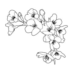クローバー 水彩素材 線 ライン装飾 Vol 2 Wall Mural Pp7 クローバー 水彩素材 線 ライン装飾 Vol 2 Wall Mural Pp7
