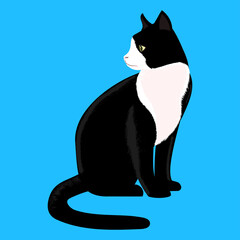 Sitting Cat isolate on blue background - Flat Vector Illustration