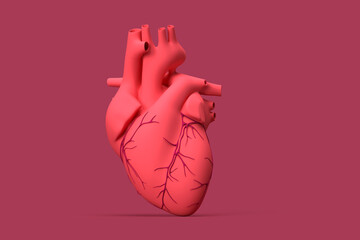 Illustration of realistic human heart. 3D illustration