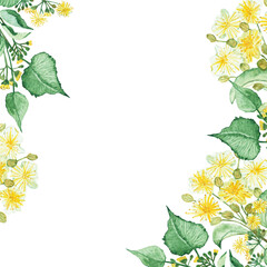 Watercolor hand painted nature herbal plant border frame with yellow blossom linden flower, buds and green leaves on branch bouquet on the white background for invite and greeting card