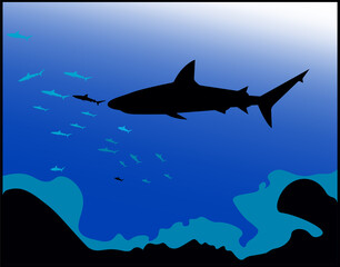 Blue underwater landscape Shark Vector illustration