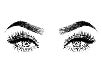 Hand-drawn woman's luxurious eyes with perfectly shaped eyebrows and full lashes