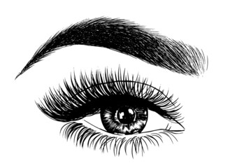 Obraz premium Woman Eye and Perfect Eyebrows Makeup Look