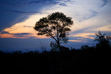 African sunset
