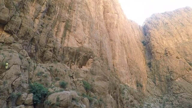 Todra Gorge tilt shot