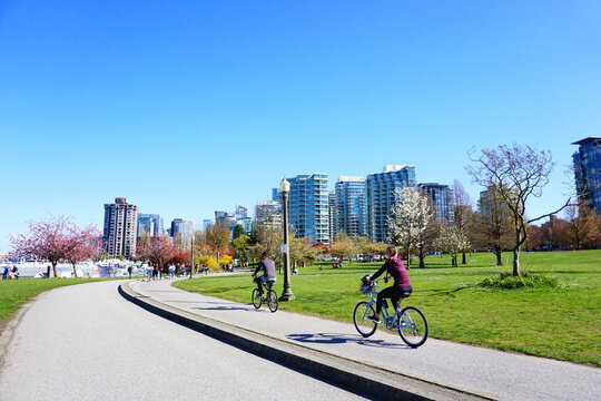 カナダスタンレーパークのサイクリングロード