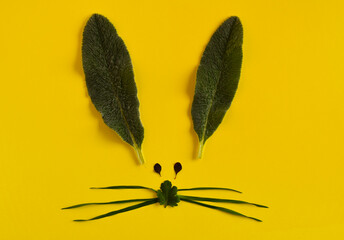 Rabbit face made from leaves on the yellow background. Easter concept photos.